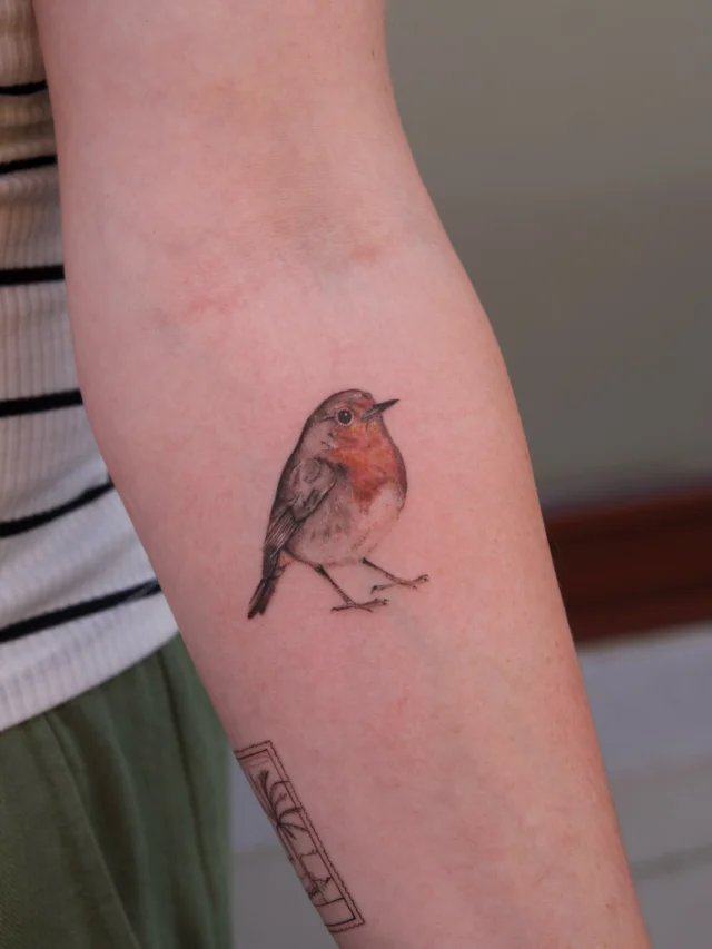 Farbiges Rotkehlchen-Tattoo
